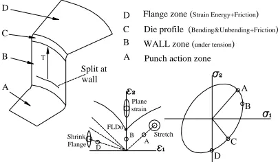 Figure 1. Mechanics of deformation on a segment of deepdrawn part. 