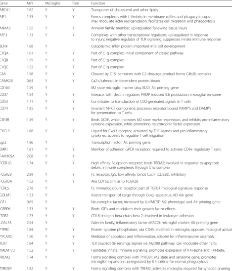 Table 5 Microglial and neuropathic pain-related gene expression