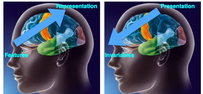 Figure 1.1: Bottom-up vs top-down visual perception theories (Image adapted from [10]).