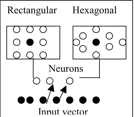 Figure 3. Geometrical representation of neurons for KSOM. 