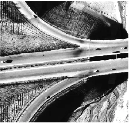 Figure 4. The original image. 