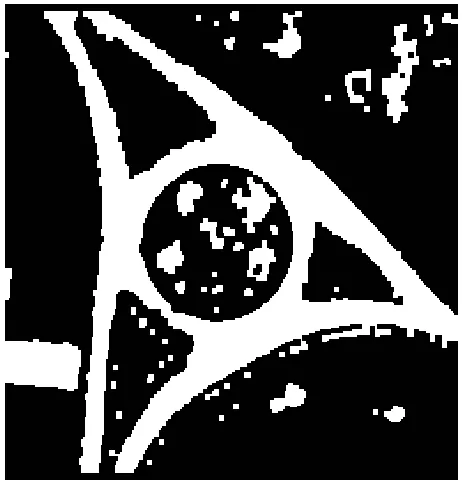 Figure 8. Part of an orthoimage from Kish, IRAN.  