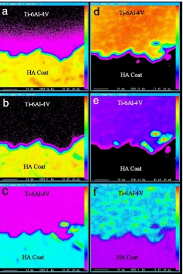 Figure 10. EPMA mapping of the plasma sprayed hydroxyapatite coating/Ti-6Al-4V interface for (f) Vanadium