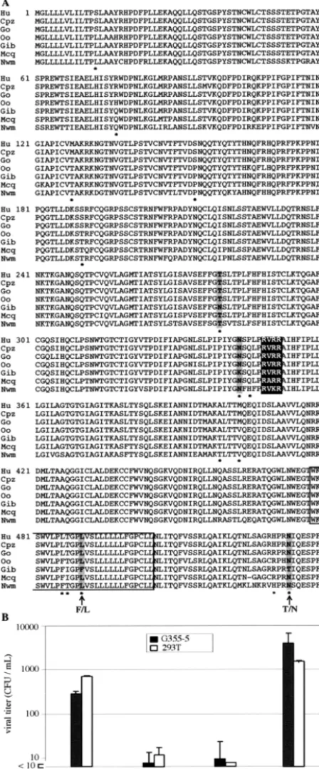 FIG. 3. Comparison of the simian ERV-FRD envelopes and iden-tiﬁcation of a unique point mutation responsible for the gibbon enve-