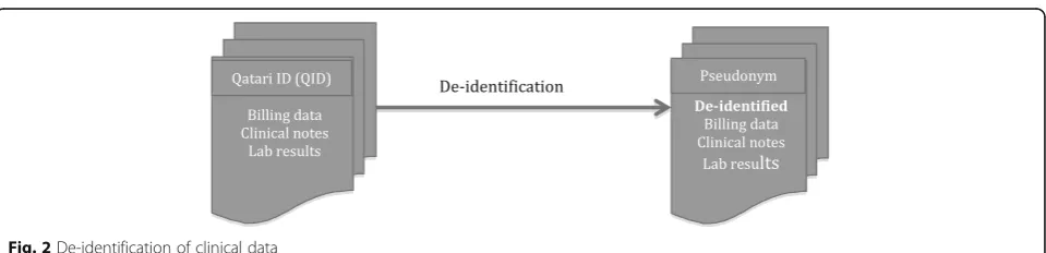 Fig. 2 De-identification of clinical data