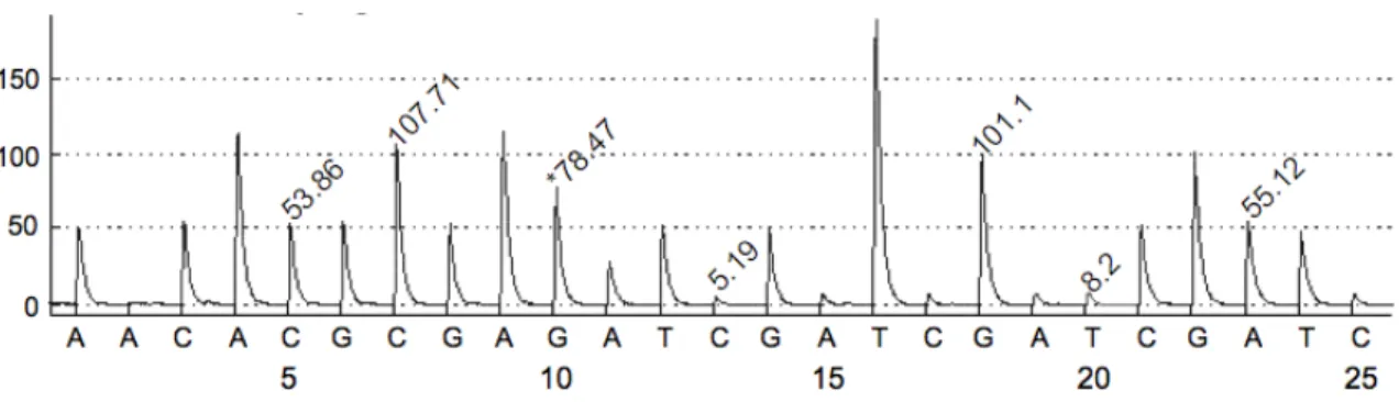 Figure 2.1: A sample pyrogram, the result of pyrosequencing. Values represent the heights of peaks.