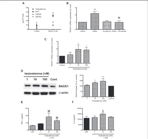 Fig. 2 DHEA is metabolized to DHT in THPmean ± SD,comparison test with §–1 cells; and testosterone (similarly to DHEA) affects RACK1 expression