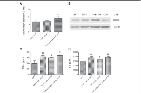Fig. 3 DHT and androstenedione, similarly to DHEA, affect RACK1 expression.comparison test with §as mean ± SD, a, b Increased RACK1 expression following treatment with DHT andandrostenedione