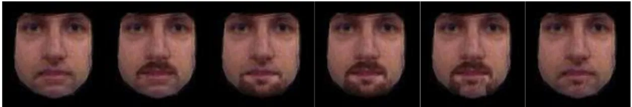 Figure 3: (L to R) 'clean', 'moustache', 'goatee', 'vandyck', 'fuManchu', and 'soulPatch'  As you can see, they are dependent on the facial hair coverage of the source