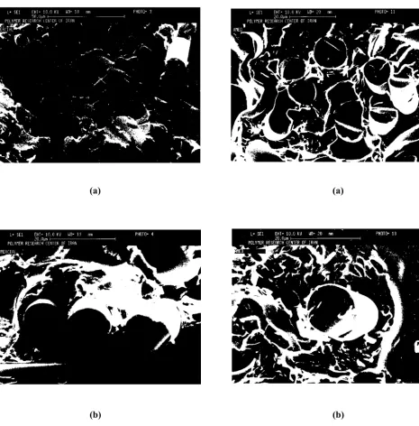 Figure�2�.�Scanning�electron�micrograph�of�fracture�surfaceof� composite� containing� commercial� fiberglass:� (a)magnification�850�and�(b)�magnification�1800.