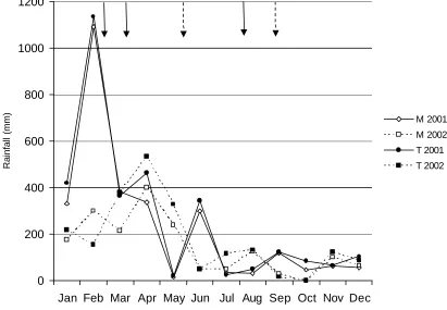 Figure 5.1 Monthly rainfall for Topaz Towalla Road (T) and Millaa Millaa (M) for the years 2001 and 2002 (Bureau of Meteorology 2003)