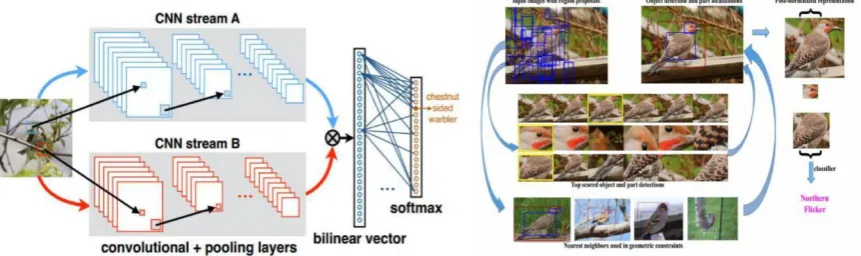 Figure 2. Bilinear CNN network structure.            Figure 3. Part-RCNN algorithm flow chart