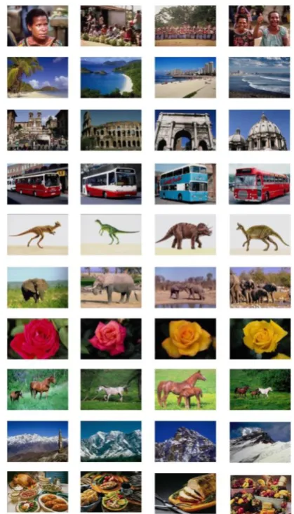Table 2 Ten classes of image database Semantic name. 