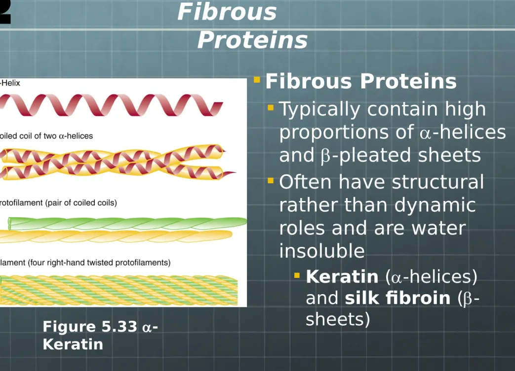 Figure 5.33 a- a-Keratin