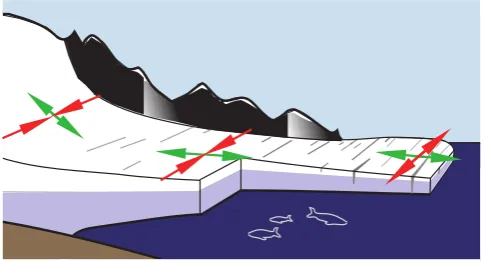 Fig. 3.Fig. 3: (From Albrecht et al., 2011) Schematic diagram illustrating subgrid-scale advance of the i+1 ispartially ﬁlled with ice its ice thickness is kept constant at the same value as grid cell (From Albrecht et al., 2011) Schematic diagram illustra