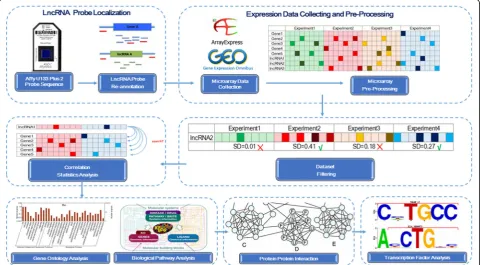 Fig. 1 Schematic diagram of the co-expression-interaction network (COIN) Bioinformatics Analysis