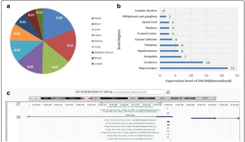 Fig. 6 Expression and regulation of DSCR9 in human tissues and brain regions.from molecularbrain.org)
