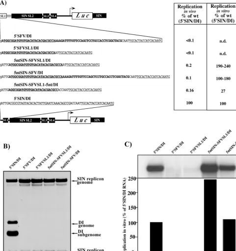 FIG. 2. Replication of the DI RNAs with the 5�type, respectively. Underlined type represents the sequences predicted to form the stem-loop structures