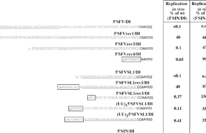 FIG. 5. Replication of the DI RNAs with the 5�sequences of the designed 5synthesis activity of the templates are shown