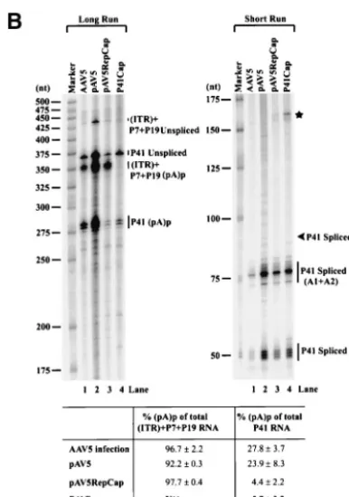 FIG. 1—Continued.