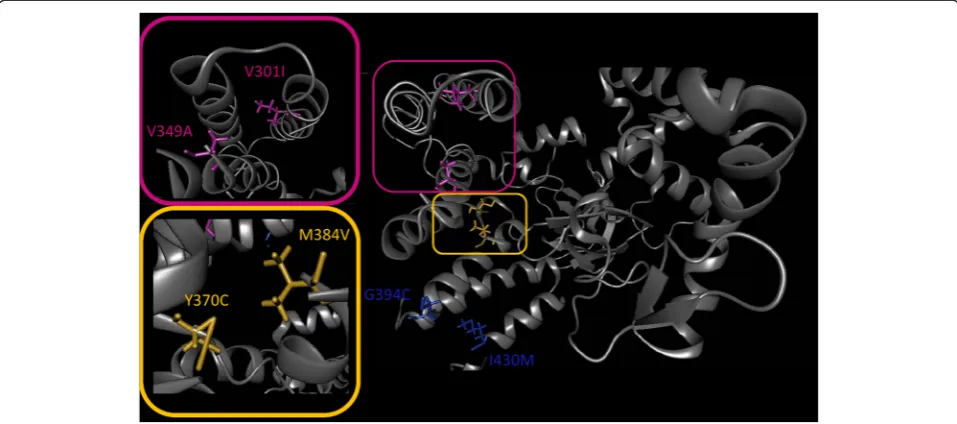 Fig. 3 Chain A of protein VCL. The wild type structure of the proteinVCL is displayed in the so-called cartoon representation (gray)