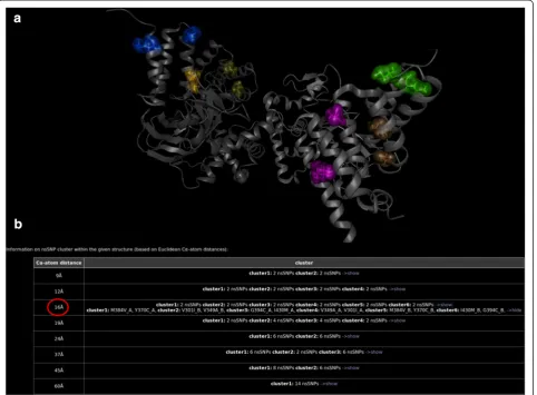 Fig. 5 Cluster analysis of the nsSNPs in SMYD2. SMYD2 consists of two chains, (nsSNPs are highlighted within the protein 3D structure according to their cluster affiliation.a) and (b)