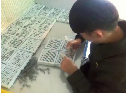 Figure 2. Manual packaging of filament spiral into a plastic tray. 