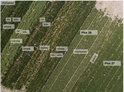 Figure 5.33 The NIR image that matches with the colour image shown in Figure 
