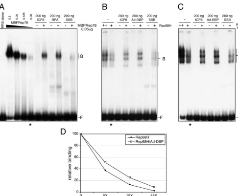 FIG. 8. Enhanced binding by Rep proteins is speciﬁc and does not require helicase activity