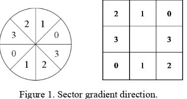 Figure 1. Sector gradient direction. 