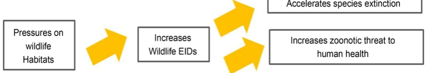 Figure 2. Chain of causes/effects that enable contacts between species and EID pathogens, adapted from [36]