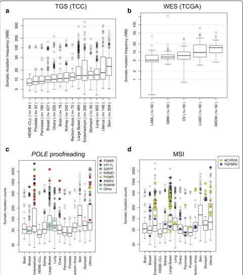 Fig. 4 Somatic mutation rates across different tissue types using the tumor-only method