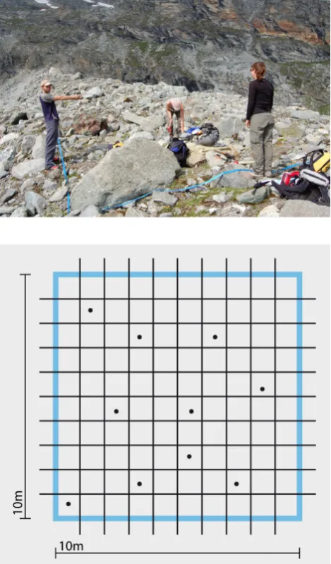 Fig. 3.conﬁrm that at both BC and AX a homogeneous snow coverisolated the ground from the cold winter air temperatures, in×1 0 mropes representing two orthogonal edges were attached to the stick.due to long lasting snow in late spring at BC are responsi-bl