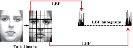 Figure 2.The process ofthe LBP feature extraction. 