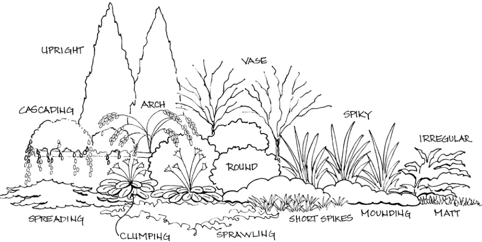 fiGurE 6. Tree forms
