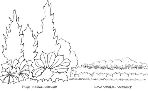 fiGurE 11. Proportion in plants and hardscape