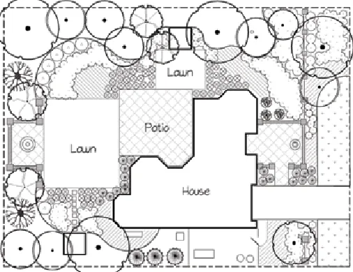 fiGurE 15. Emphasis by isolation of plant material in a container