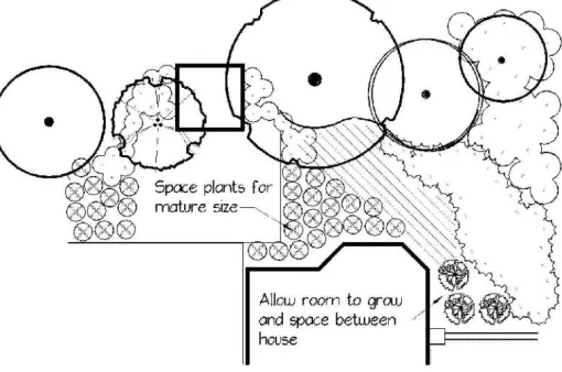 Figure 13.  Plant forms. 
