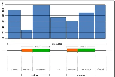 Figure 1 Structure of a pre-miRNA, an miRNA precursor. Top: distribution of all the variants observed in all the populations analyzed acrossthe different substructures of the pre-miRNA