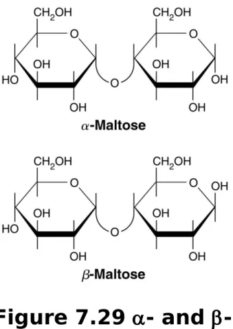 Figure 7.29 a- and b- b-Maltose