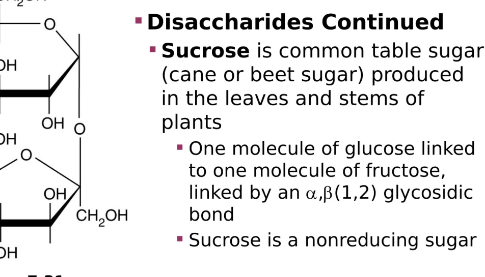 Figure 7.31  Sucrose