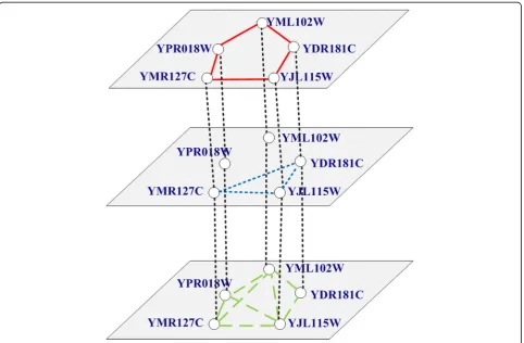 Fig. 2 Example of multilayer protein networks