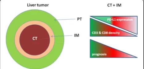 Fig. 2 Representation of “immunoscore” applied to liver cancer.Tumor areas have been schematically indicated together with thecorrelation between density of T cells, PD-L1 expression in CT as wellas IM and tumor prognosis