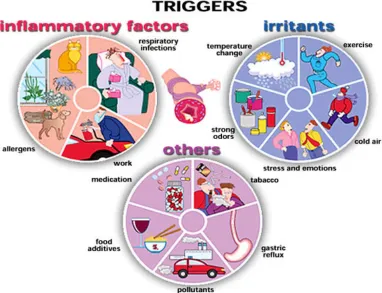 Figure 1: Triggers Of Asthma 