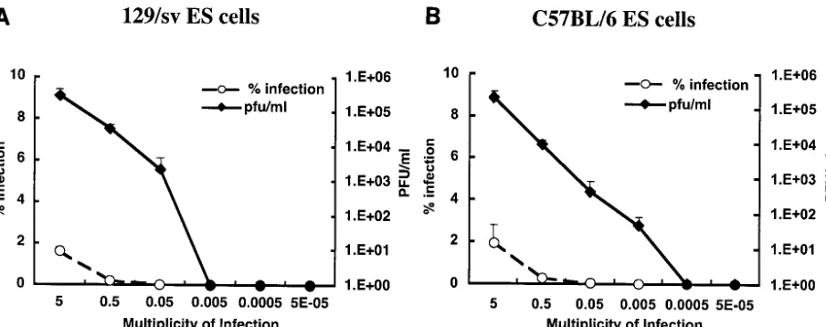FIG. 2. WNV infection in undifferentiated ES cells. Undifferentiated ES 129 (A) or C57BL/6J (B) cells were infected with increasing amountsof WNV