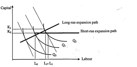 Figure 2.6: Short- and long-run equilibrium points  Capital 