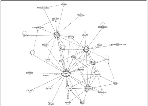 Fig. 14 Gene network analysis. The target genes of cancer-induced differentially expressed protein were used to run the IPA tool for gene networktheanalysis