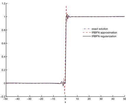 Figure 3: Regularization of IRBFNs.