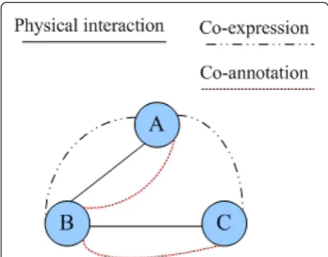 Fig. 1 An example of a typical multi-relationship network. Therebetween two nodes, and theinteraction of PPI networks,are three links between A and B, including physical interaction,co-expression, and co-annotation