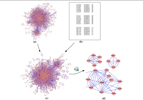 Fig. 2 Schematic of construction of a multi-relationship protein interaction network. After inputting a PPI network and GO annotation files, MINEand CC.algorithms output a weighted multi-relationship protein interaction network